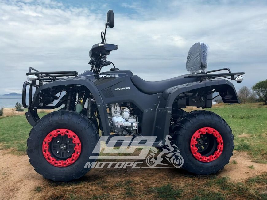 Квадроцикл FORTE ATV-250B, Чорний