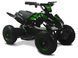 ЭЛЕКТРОКВАДРОЦИКЛ FORTE ATV 800NE
