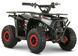 Электроквадроцикл FORTE FFA1000, Красный