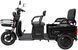 Электротрайк ATLAS Triton 800W