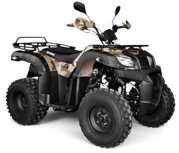 Квадроцикл SHINERAY ROVER 250