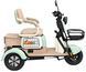 Электротрайк ATLAS Elegant Trike 600 [Вт] Lux