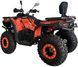 Квадроцикл SPARK WILD 200