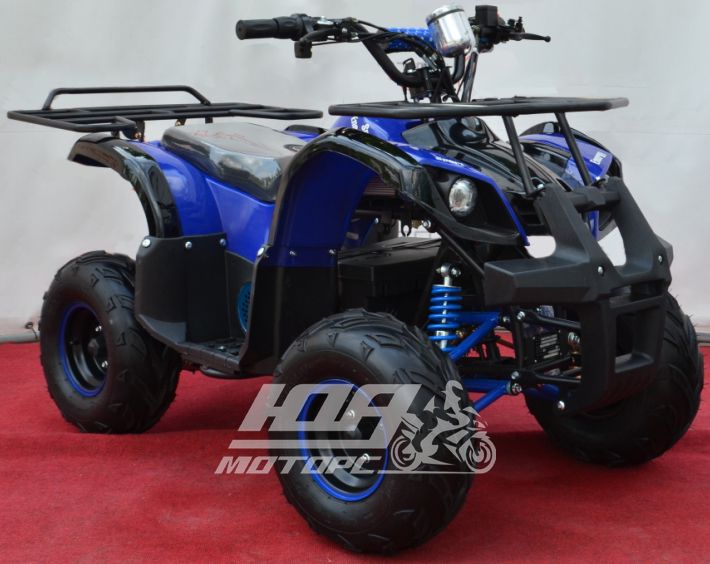 Электроквадроцикл PROFI HB EATV 1000D, Синий