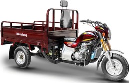 Трицикл грузовой MUSSTANG MT200ZH-4V, Бордовый