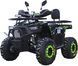 Квадроцикл SPARK SP150-12