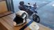 Мотоцикл LIFAN KPT (LF200-10L), Серый