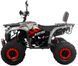 Квадроцикл XTR FORREST PRO 125
