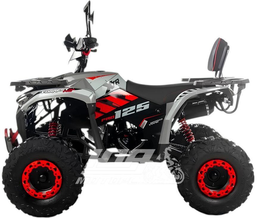 Квадроцикл XTR FORREST PRO 125