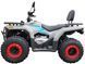 Квадроцикл FORTE ATV-200BS-К, Серый