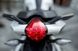 Мотоцикл BENELLI TNT 300, Біло-червоний