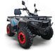 Квадроцикл FORTE ATV-250BS-К PRO, Серый