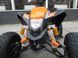 Квадроцикл COMMAN Egl Raptor XT 125, Оранжевый